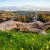 mountains with grass and flowers