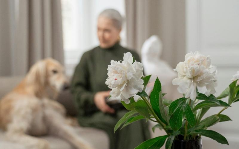 a dog sitting next to a vase of flowers