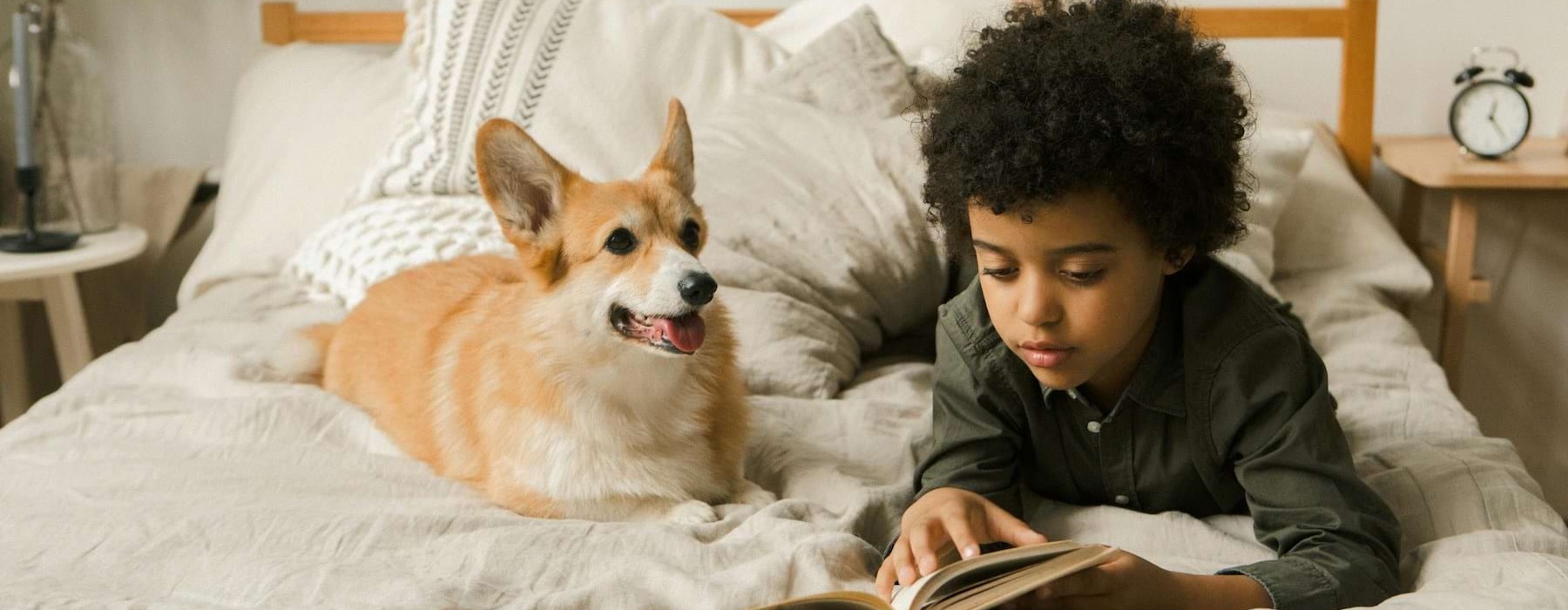 boy reading on bed with dog